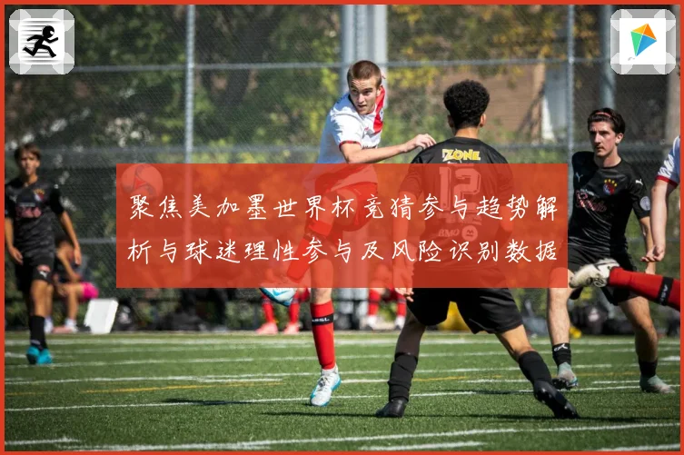 聚焦美加墨世界杯竞猜参与趋势解析与球迷理性参与及风险识别数据研判