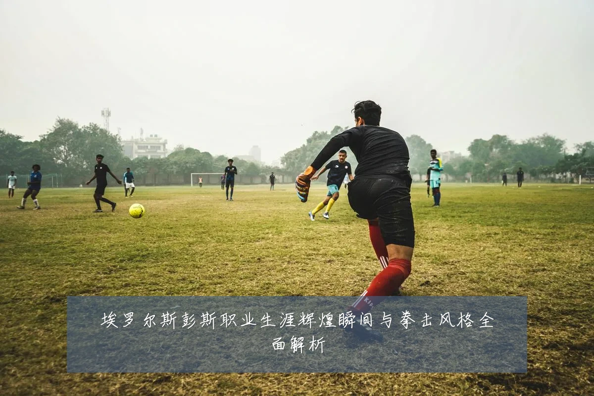 埃罗尔斯彭斯职业生涯辉煌瞬间与拳击风格全面解析